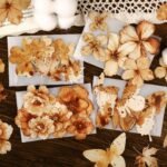 60PCS Dry Leafy Flower Scrapbook Stickers Kit Vintage Flowers  Transparent Waterproof Stickers Set for Junk Journal Journaling Water Bottles Phone Laptop Decals Pack for Teens Girls Kids Adults