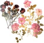 48 Pieces Stickers Set  Transparent Decorative Stickers Self Adhesive Plant Stickers for Scrapbooking Art  Crafts Notebook Diary Wall Etc (Style 8, Larger Size)