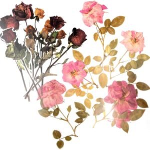 48 Pieces Stickers Set  Transparent Decorative Stickers Self Adhesive Plant Stickers for Scrapbooking Art  Crafts Notebook Diary Wall Etc (Style 8, Larger Size)