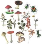 320 Pcs Flower Insect Stickers Set,  Transparent Decorative Stickers, Self Adhesive Plants, Animal Stickers for Scrapbooking, Art, , Craft, Notebook, Diaries, Wall etc.