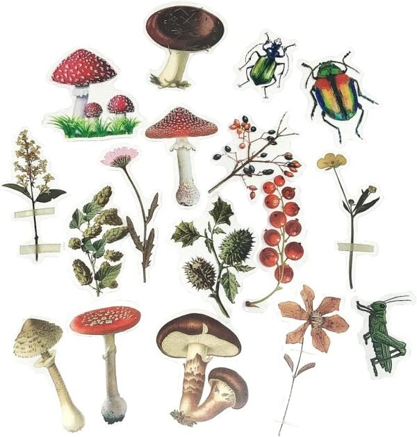 320 Pcs Flower Insect Stickers Set,  Transparent Decorative Stickers, Self Adhesive Plants, Animal Stickers for Scrapbooking, Art, , Craft, Notebook, Diaries, Wall etc.