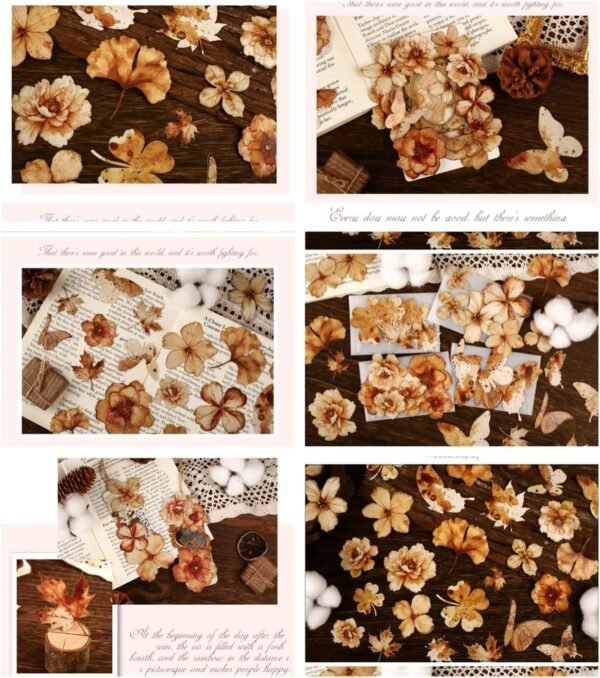 60PCS Dry Leafy Flower Scrapbook Stickers Kit Vintage Flowers  Transparent Waterproof Stickers Set for Junk Journal Journaling Water Bottles Phone Laptop Decals Pack for Teens Girls Kids Adults