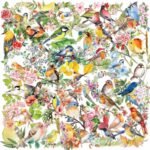 50 Pack Watercolor Bird Transparent Stickers for Teens - Floral Nature Birds Decals Waterproof  Scrapbook Decals for Journal, Guitar, Notebook, Phone Case - Ins Aesthetic Nature Art Sticker Set